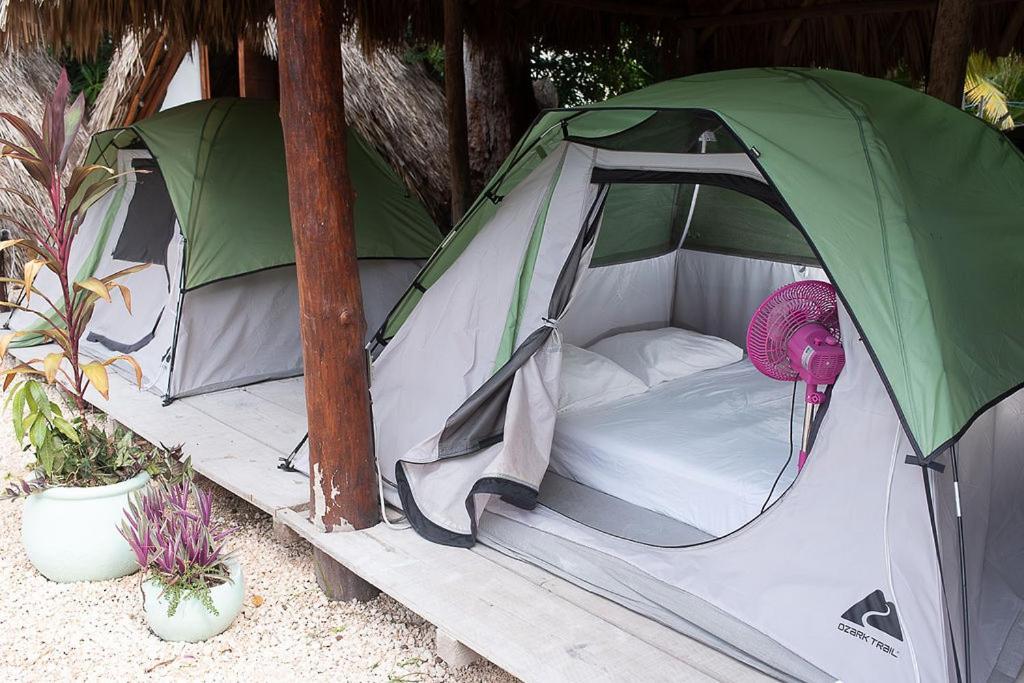 Mapache Hostel & Camping Isla Holbox Bagian luar foto