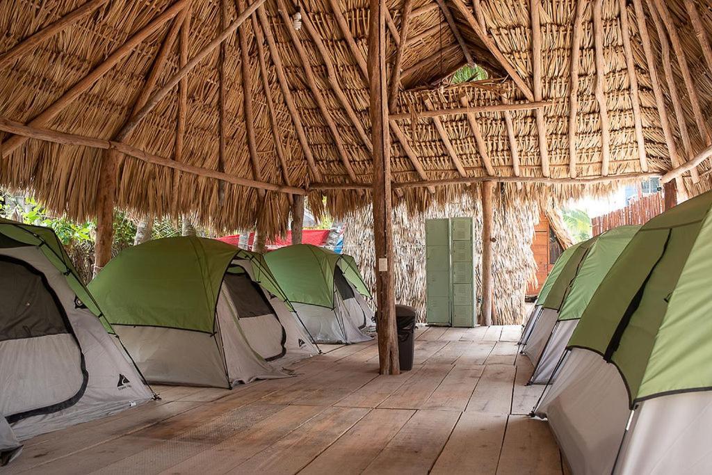 Mapache Hostel & Camping Isla Holbox Bagian luar foto