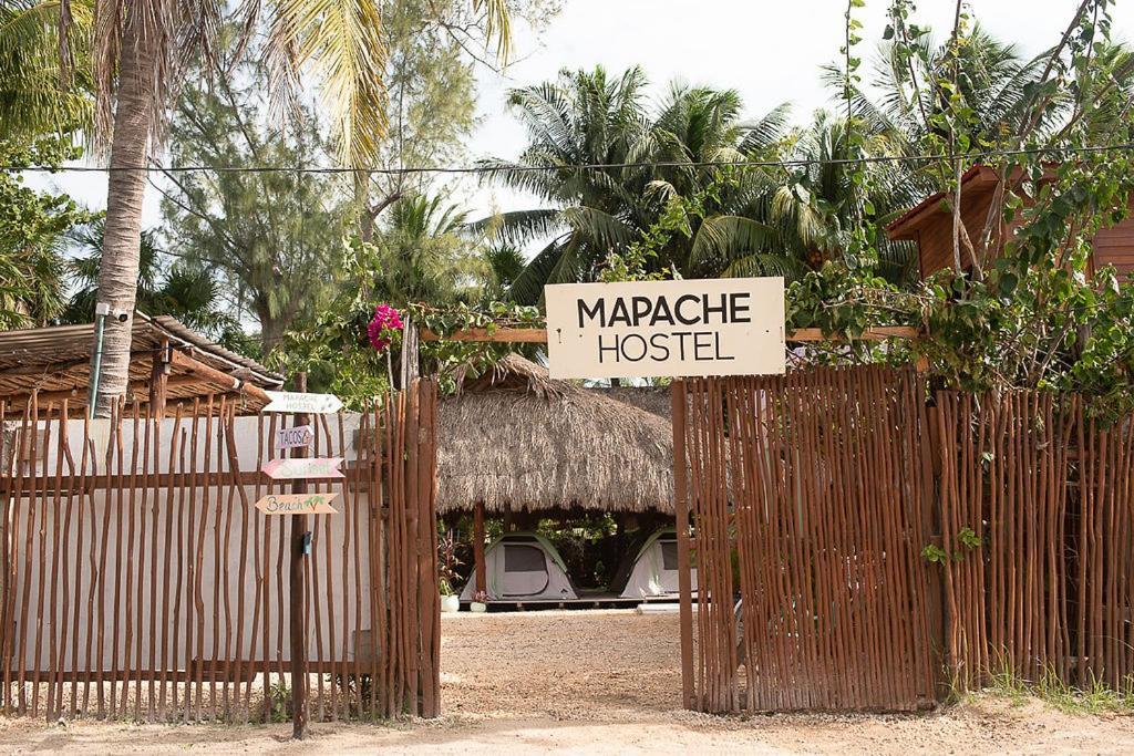Mapache Hostel & Camping Isla Holbox Bagian luar foto