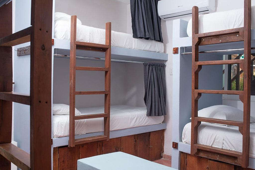 Mapache Hostel & Camping Isla Holbox Bagian luar foto