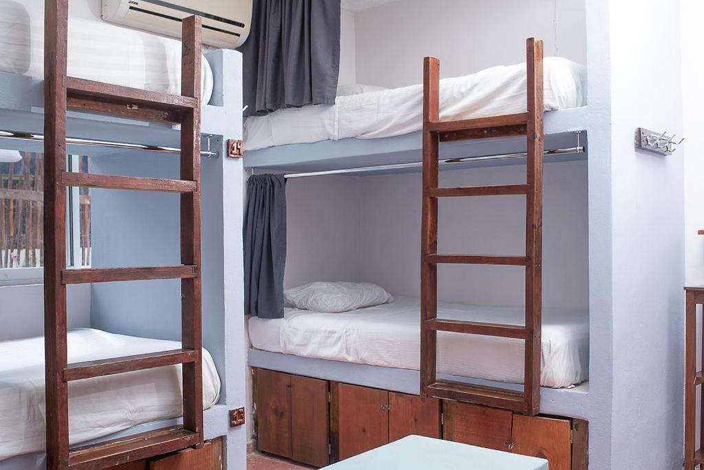 Mapache Hostel & Camping Isla Holbox Bagian luar foto